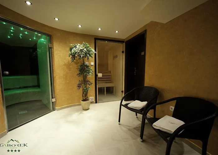 Konukevi Gaborek Krynica Zdroj